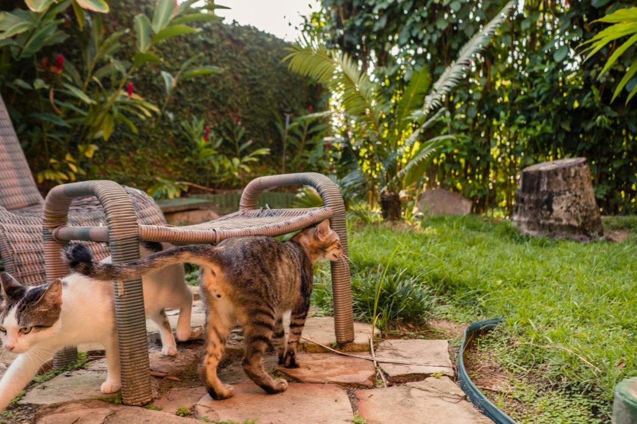 Hotel Porto Do Zimbo Morro de São Paulo Dış mekan fotoğraf